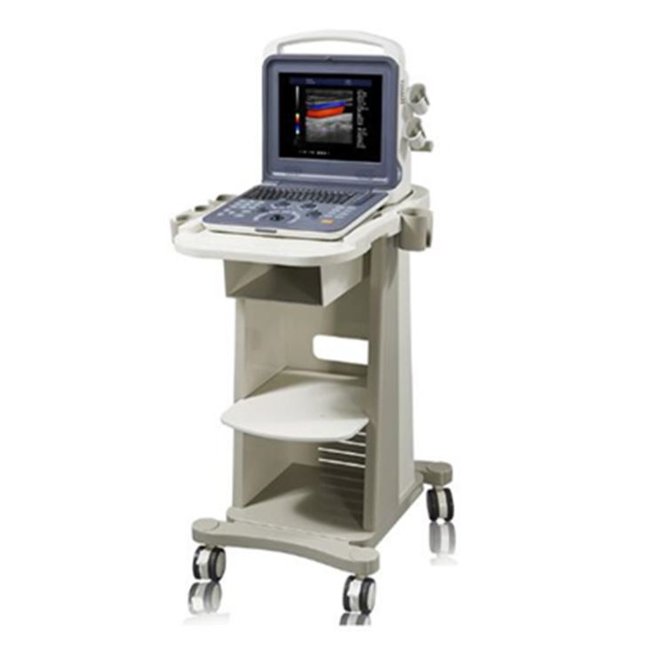 3d/4d Cardiac Ultrasound System Scanner